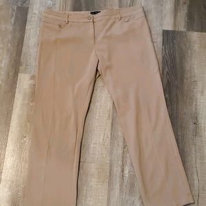 Tribal brand pants size 16